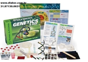 Genética Dna Kit Ciência Educacional...